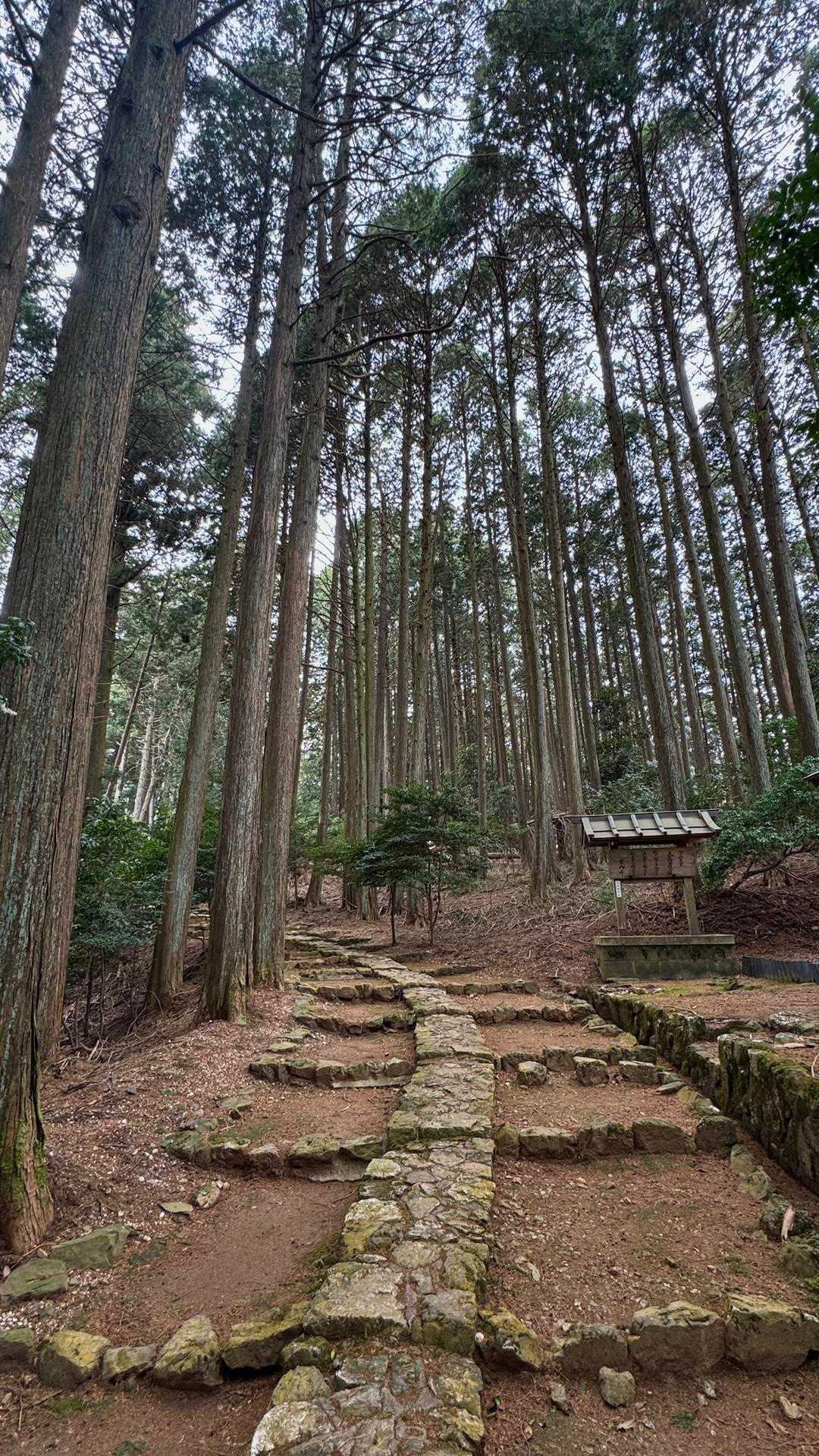 天皇陵付近　がらっと雰囲気が変わる