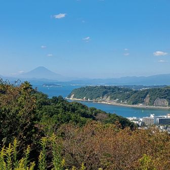 富士山を眺めながらパンをいただきます。