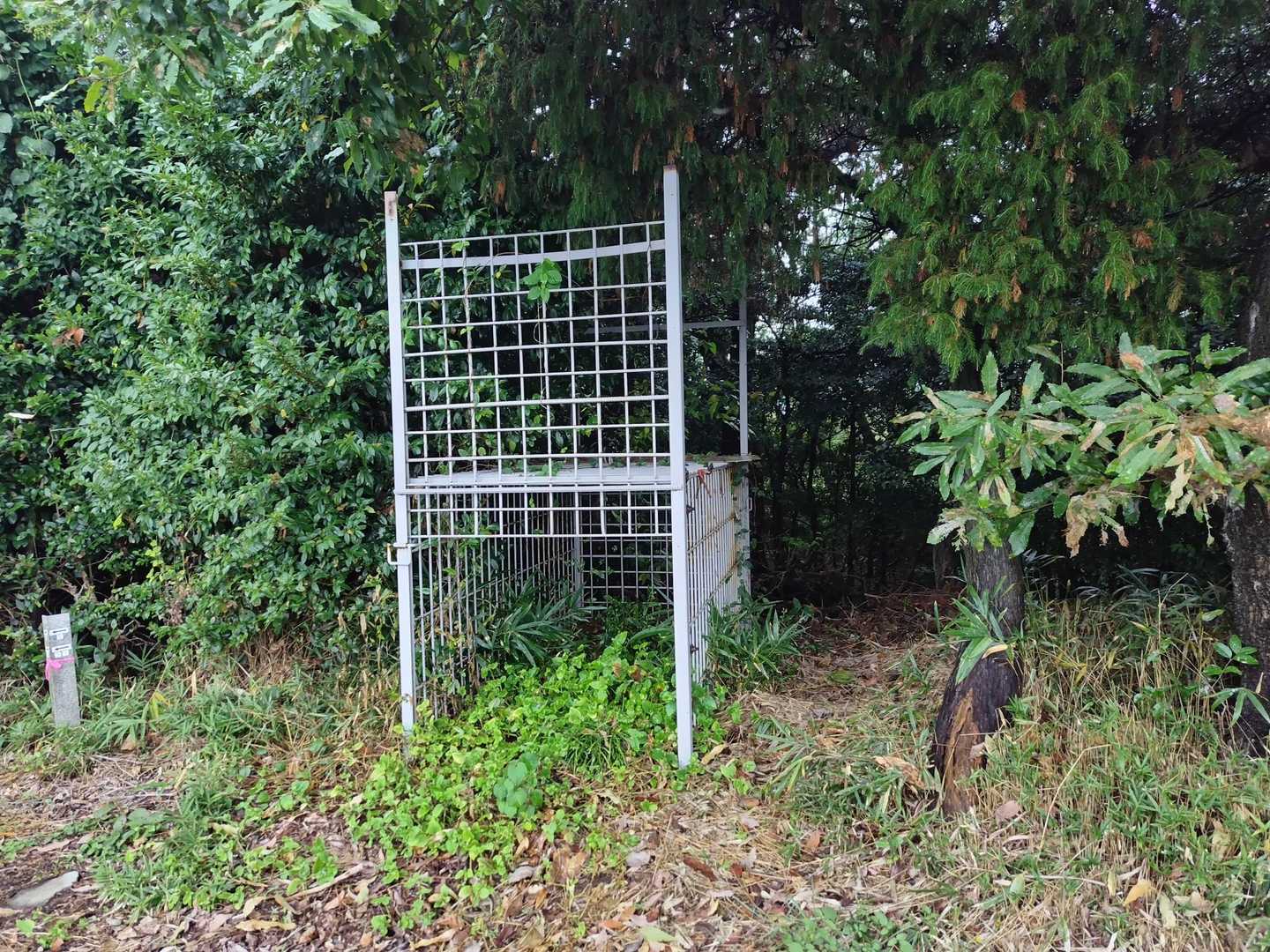箱罠があったよ。熊じゃなくて猪🐗用かな。四国には熊🐻は剣山系に26〜27頭が生息しているのみで、絶滅寸前と言われています。