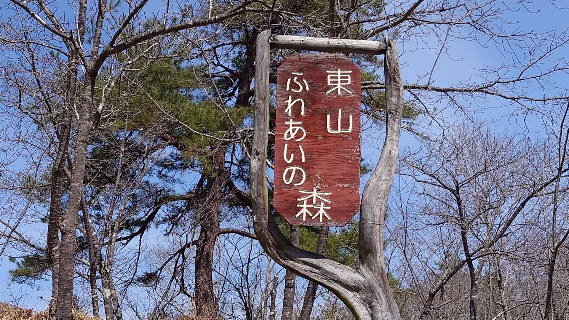 東山 往復コースの写真