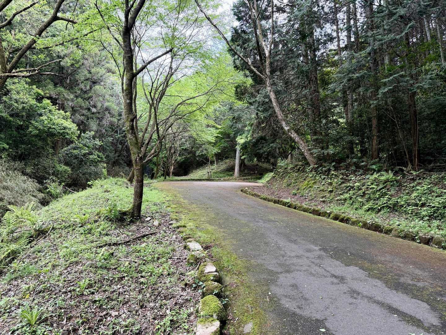 うん👍

ひざ調子良さげ♪