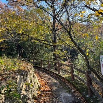 さて、娘に🚙を預け1人山へ⛰️
渕崎東コースの最短で