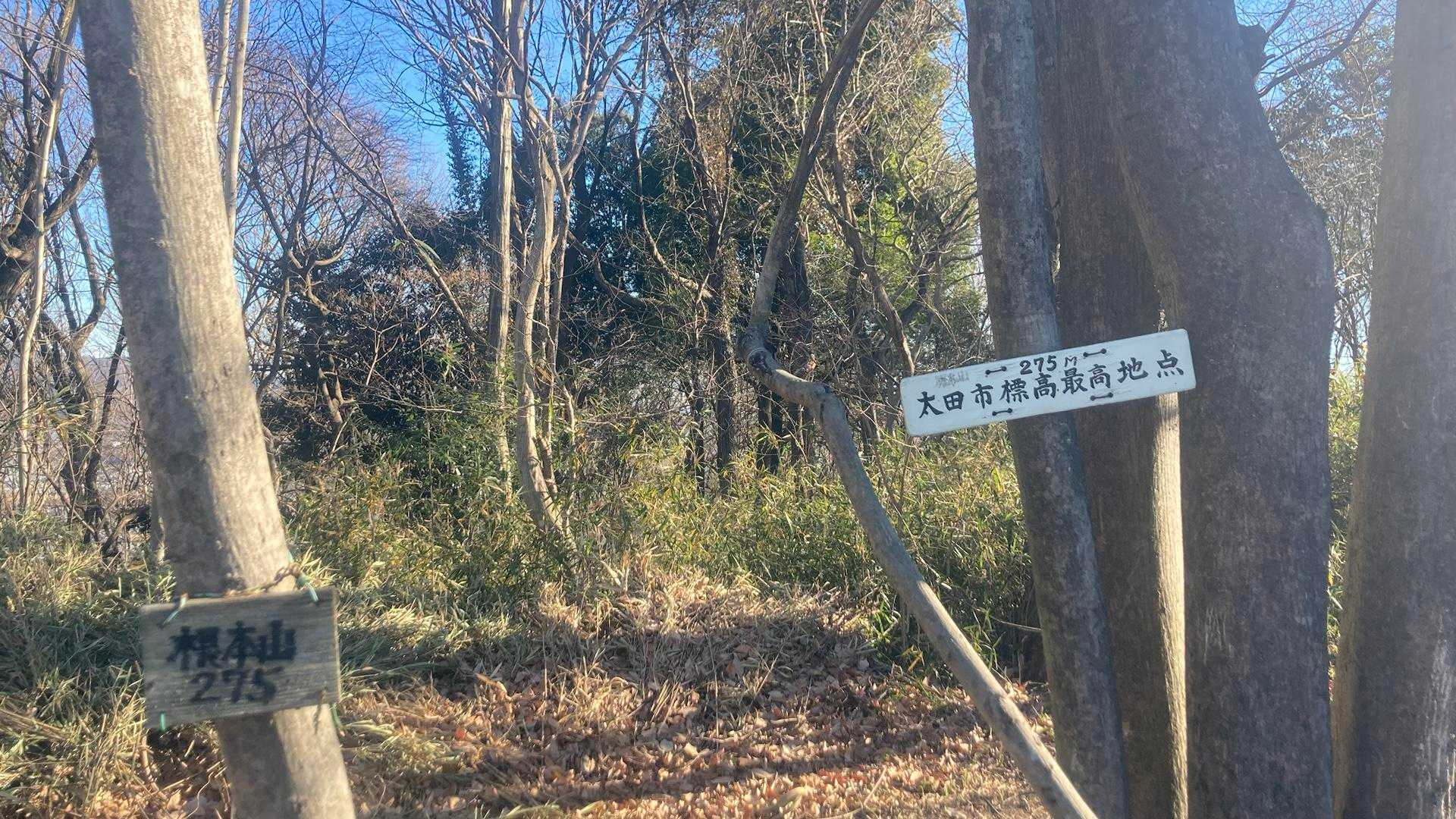 八王子丘陵 荒神山-茶臼山-唐沢山 往復コースの写真