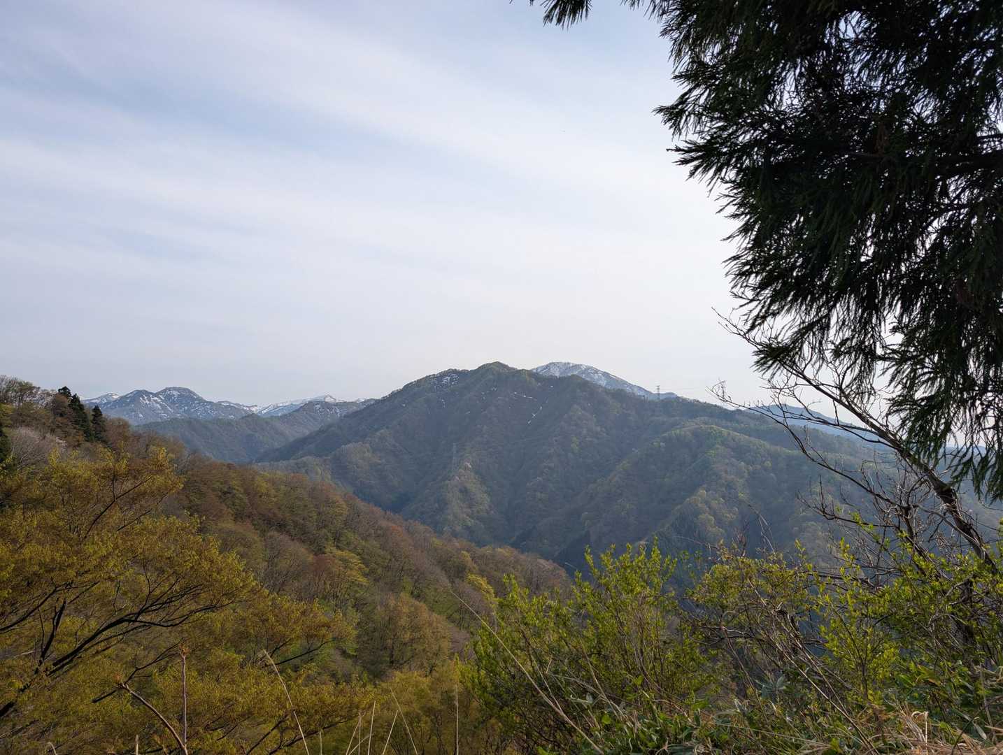 けどコレを見れば来て良かった😆日本平方面