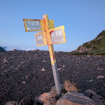 1時間ひたすら登って中盛丸山の取り付きまできました
今後の体力を考えて大沢岳はパス