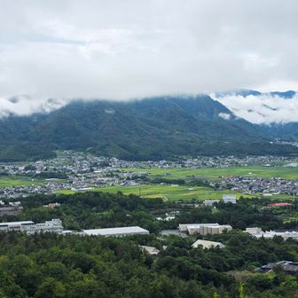眺めが良い