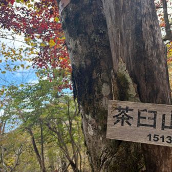 茶臼山⛰️🍁