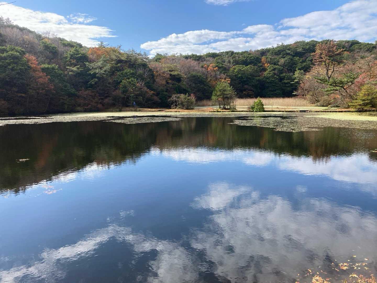 リフレクション😎
ただ言ってみたかっただけさ