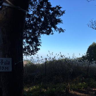 途中他の動物でないドバドバっと量の多い🐻糞っぽいのがあったので、気休め程度にスマートウォッチスピーカーから音楽も鳴らして警戒しつつ進む
まあ、何事もなく笹子山🙌
ほぼソロだし熊スプレー買おうかな😅