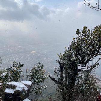 右田ヶ岳西峰に着きました！