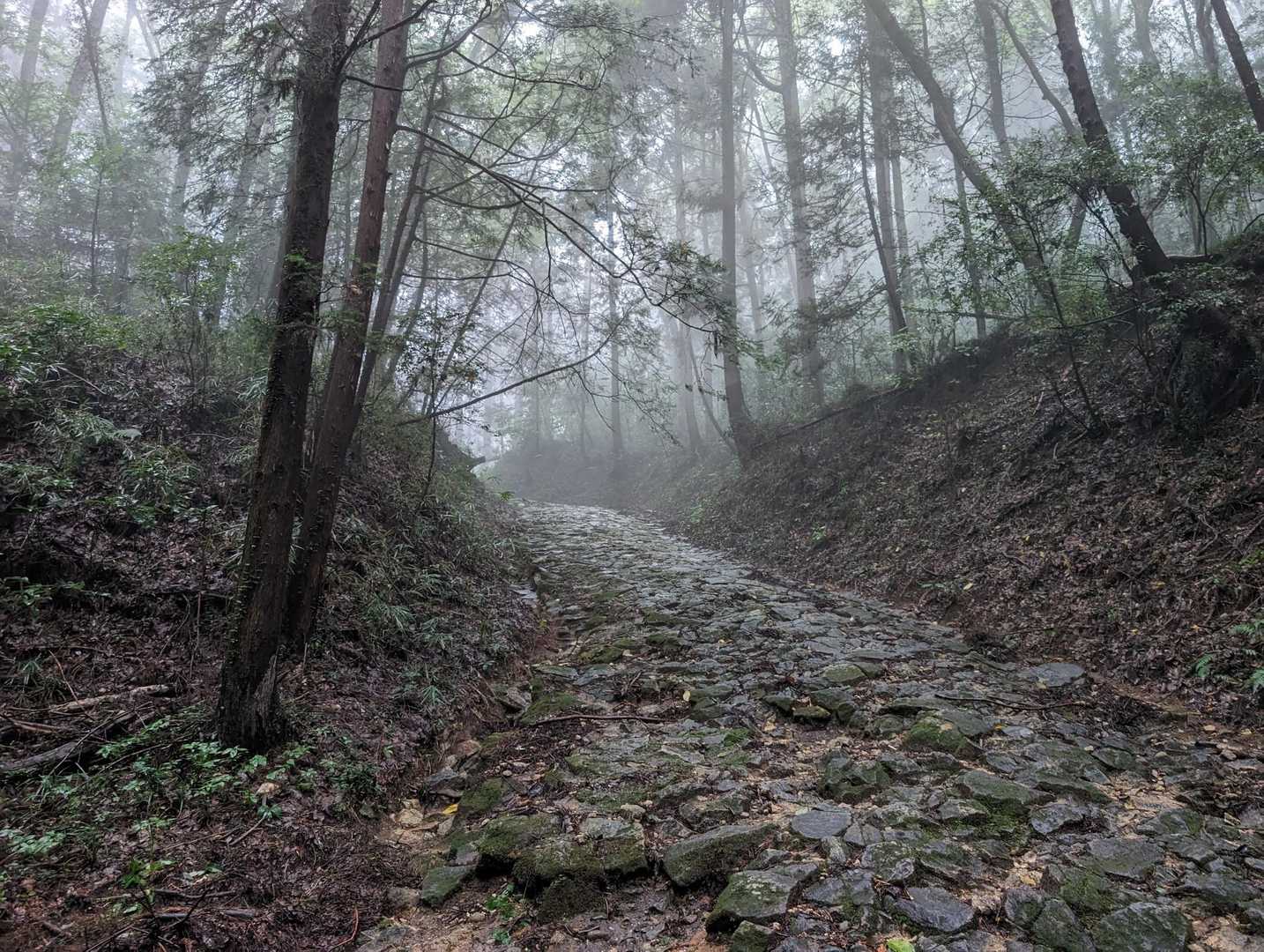 羽黒山 往復 | 歴史香る杉並木の参道と、雄大な関東平野を見渡す山頂の写真