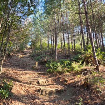 青空に向かって登るー