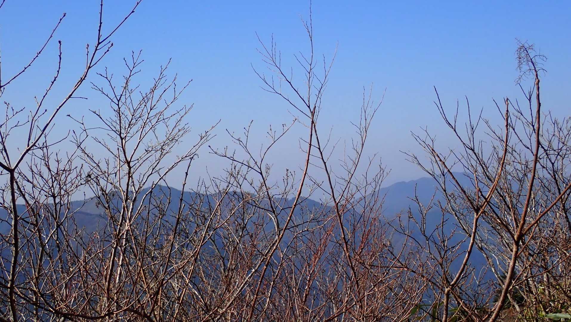 天気良いなあ