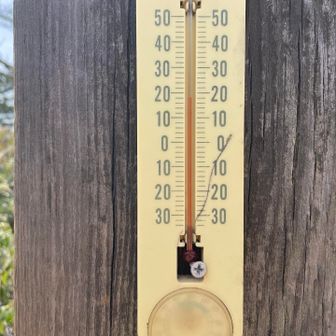 暖かいですねー