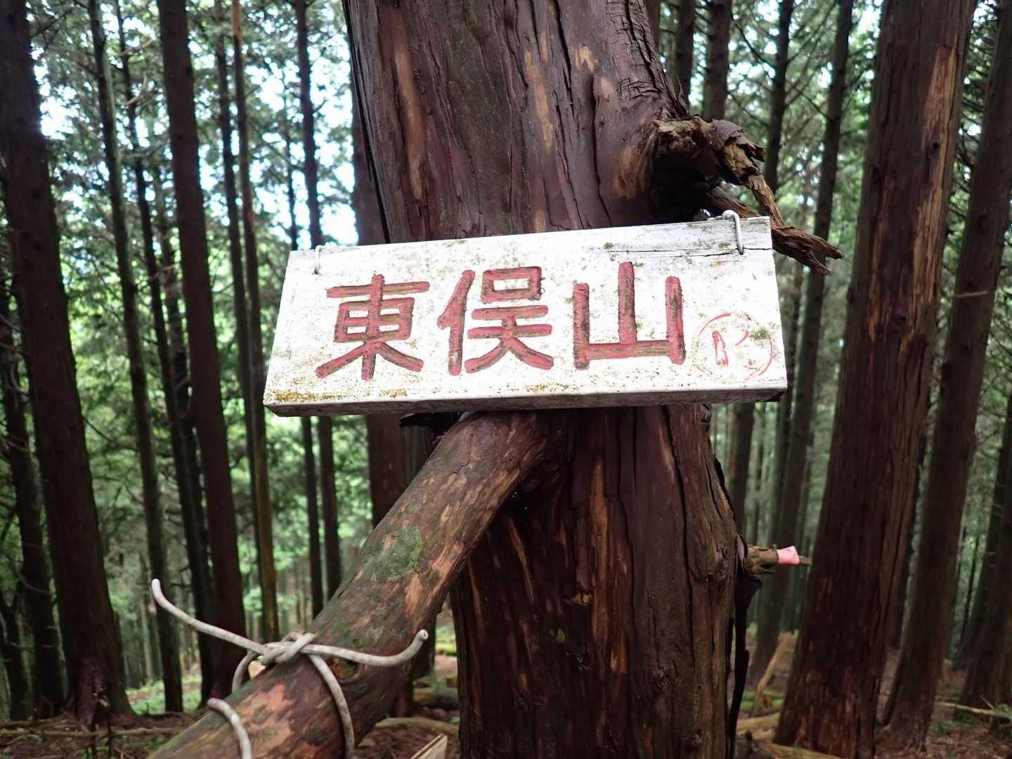 「東俣山」通過