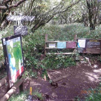 神山･駒ヶ岳の分岐、まずは神山に向かう。
現在閉鎖されている早雲山へのお中道は、ここを真っ直ぐとの事