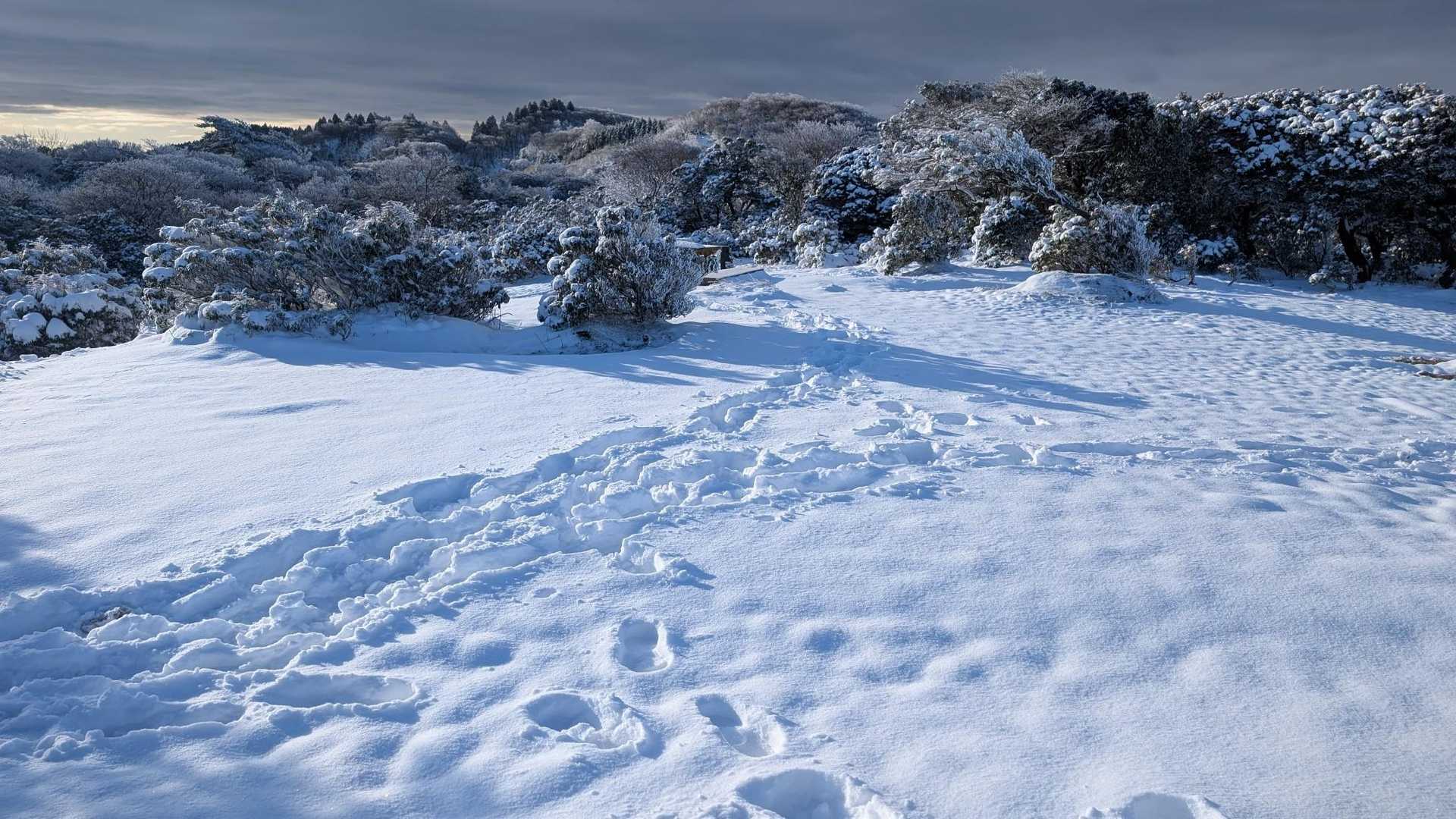 三方山-小倉山-養老山-北尾根P826峰 周回コースの写真