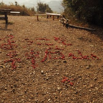 山頂、誰かが作ったのかな🤔