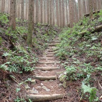 あとは郵便道の500段のラストの階段を登り切って山頂へ