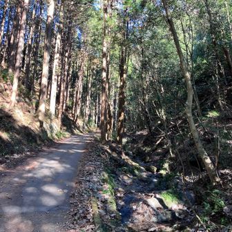 小川に沿って下っていきます