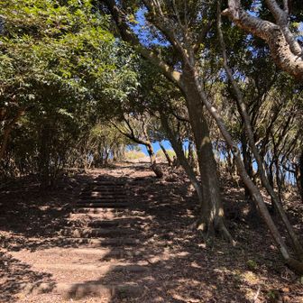 連日登山なので足の運びもよく、少しペースを上げてみた！途中ほぼ休憩無しで、少しキツくても同じ歩幅とペースを一定に、心拍数156以上ならないように、登ってみたら一気に登れた
猫背になりがちだったので、意識して呼吸しやすくしてみたら、良かったので次回もトライ👍
宝満山で今度試してみよっと