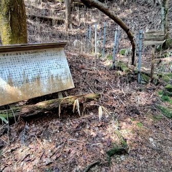 甘草水の案内板です。