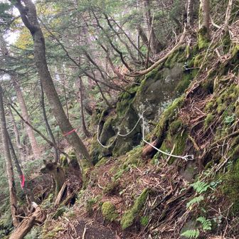 下山時は新ルートを選択。岩場のトラバースではロープが設置されてました