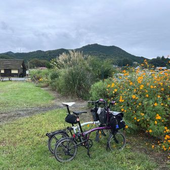 日和田山が見えました。