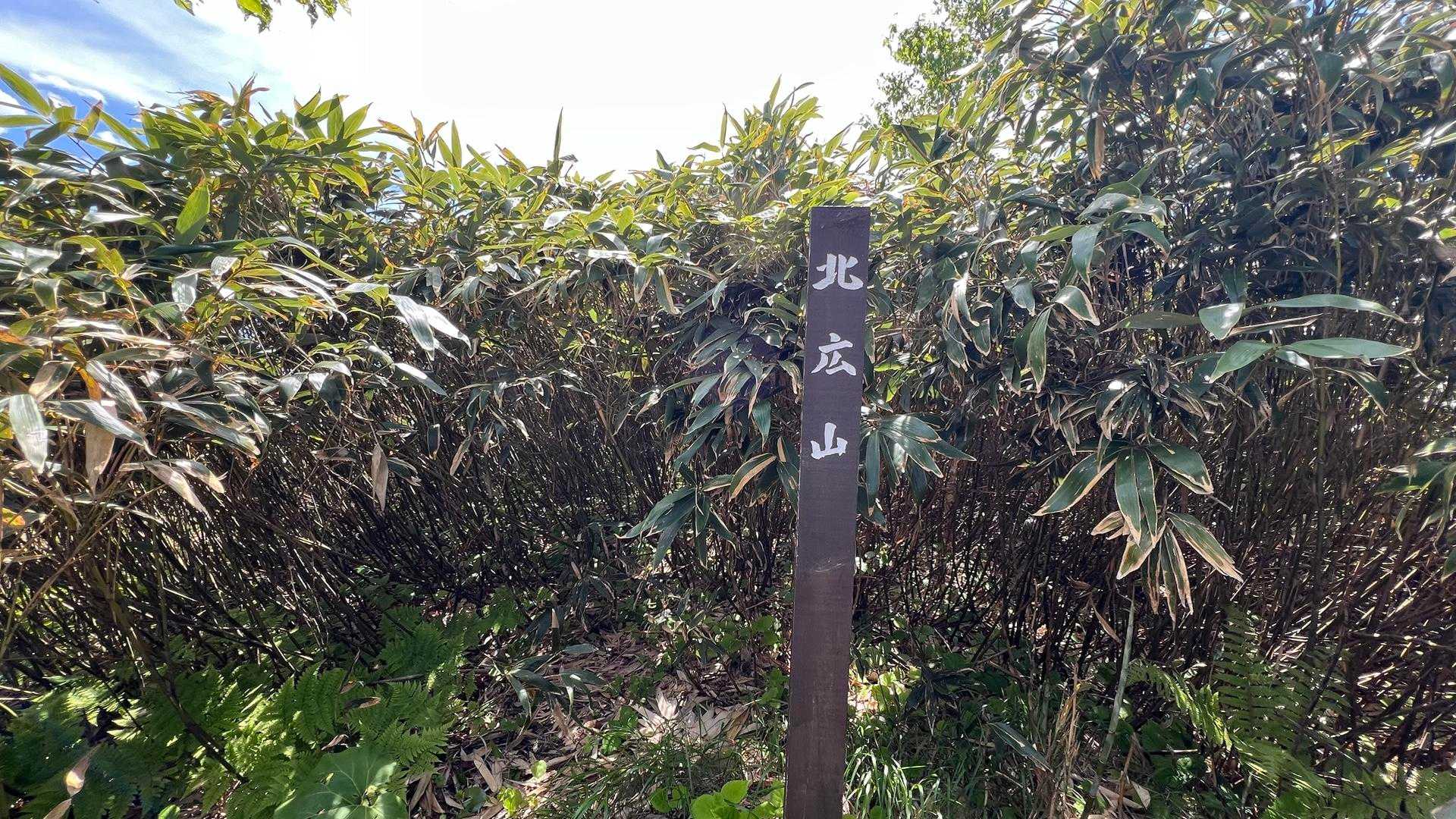 笹薮の中の山頂。