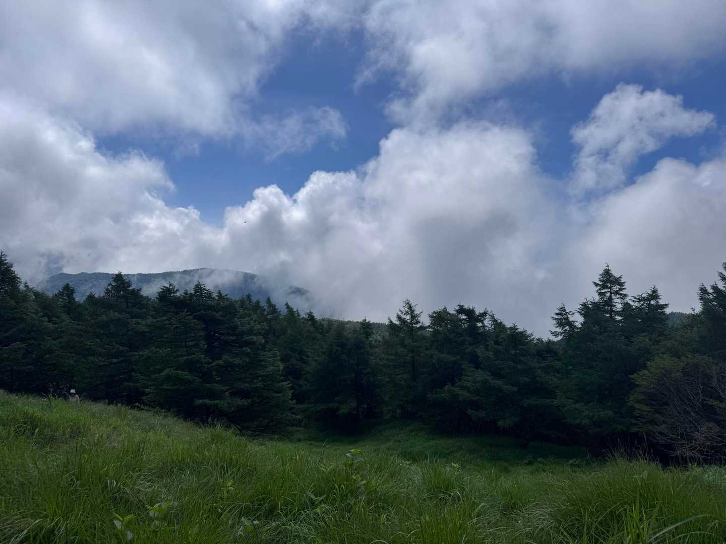 池ノ平湿原入口-雷の丘-雲上の丘-見晴岳-三方ヶ峰 周回コースの写真
