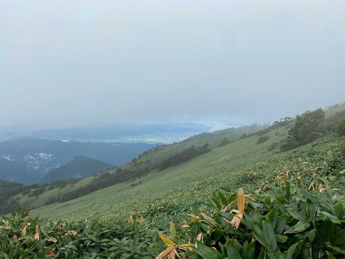 瓶ヶ森登山口発着｜四国最高峰を眺望する瓶ヶ森 周回コースの写真