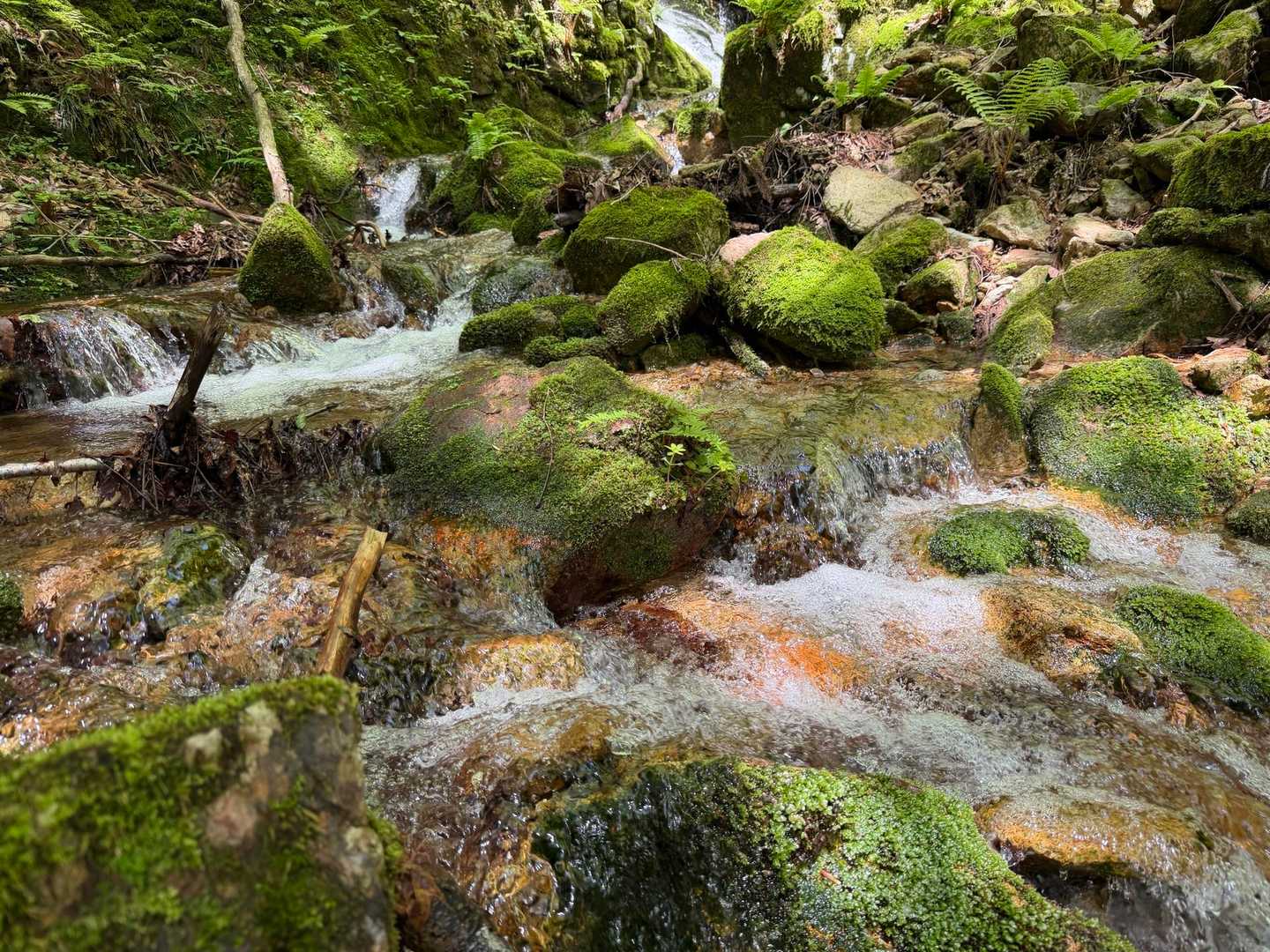 日永岳登山口-日永岳 往復コースの写真