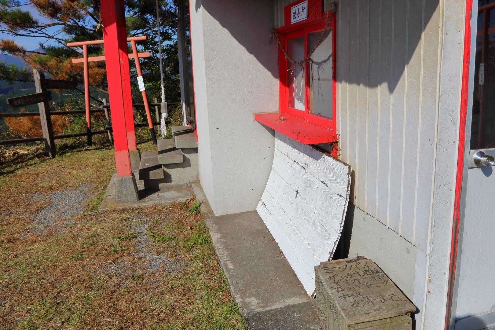 🐝ミツバチの巣があります