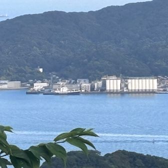 会社と🚢が見える😅
もう一日頑張って働きますか