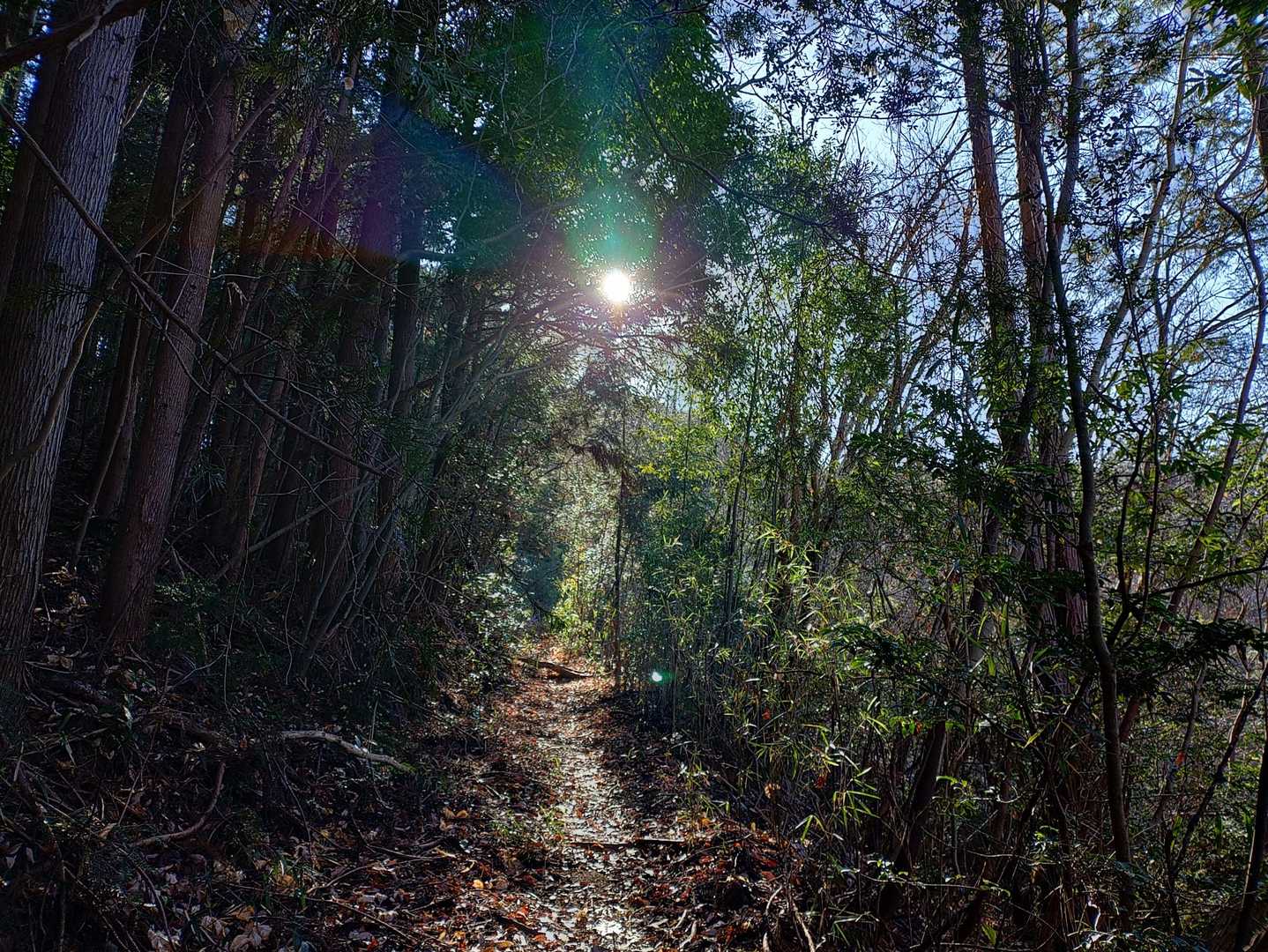 日差しが美しい✨
