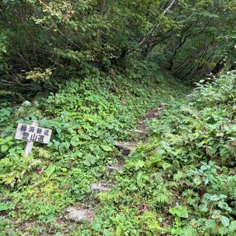 坂田峠到着！