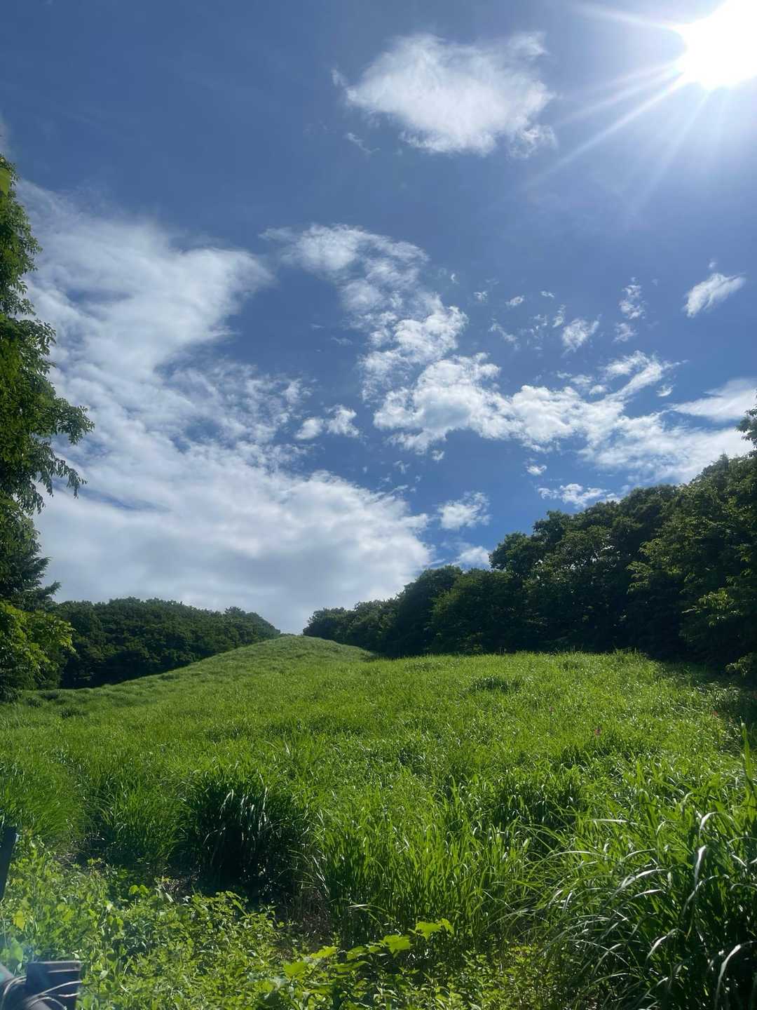 日山 往復コースの写真