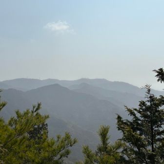 風頭山山頂の南側、少し降りた場所からの展望。

いい眺めですが、当日はもやもやしていてすっきり見えない感じ。
よく見ると、木の上から花粉っぽいものが出ている⁉️