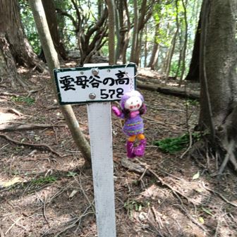 同行者の人形です。