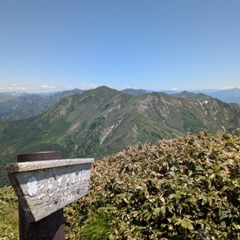 エビス大黒ノ頭から万太郎山を振り返る。だいぶ歩いたよ！