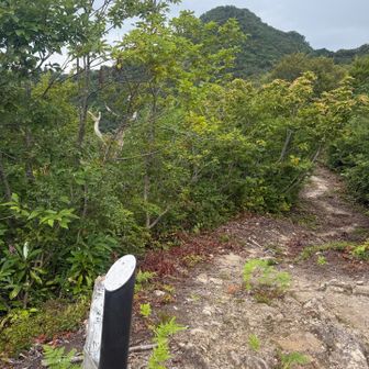 三角山というのがあったんですね😅