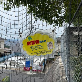 鹿警報！