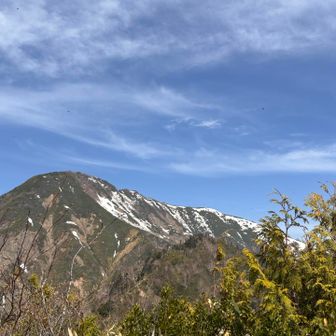 高妻山見えた👀オイオイあの手前のトンガリ山越えるの？