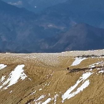 天狗塚方面へ歩いている人がいる。この時点で追いかける気力はもはやゼロ。