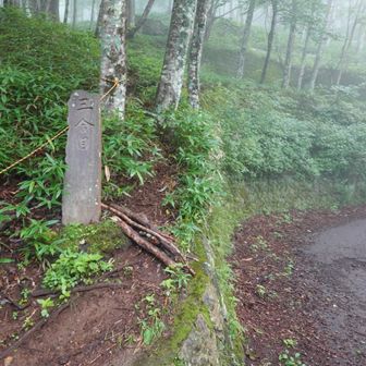 三合目。舗装路を進むことになっているが、標石の右側から踏み跡を登ってしまった。正しい道には出られたのだが、出口にはロープが張られていた