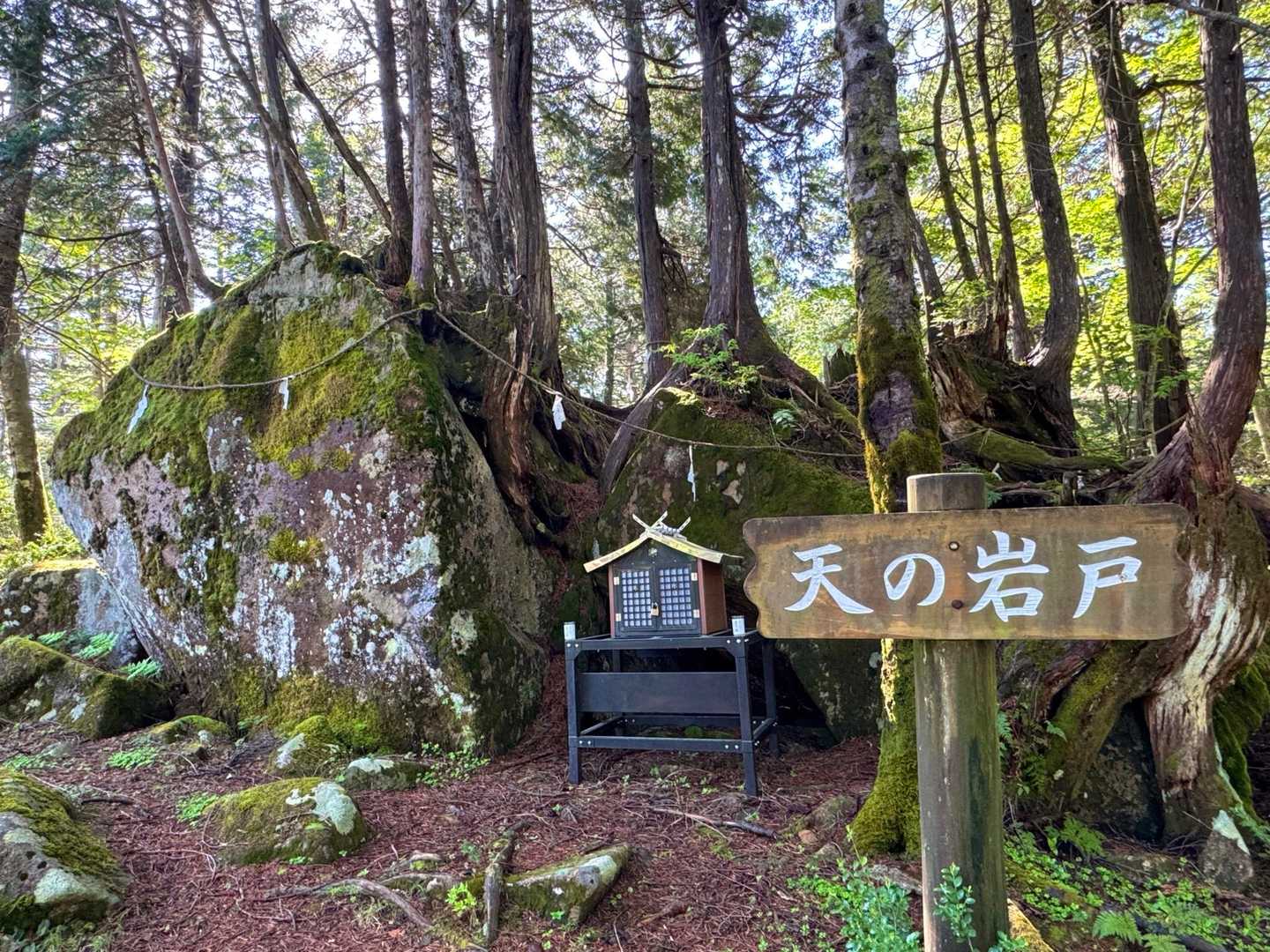 今歩いている巨石群コースの中でも特別な聖域とされているのが、飛騨一宮水無神社の奥宮であるこの「天の岩戸」だそうです。