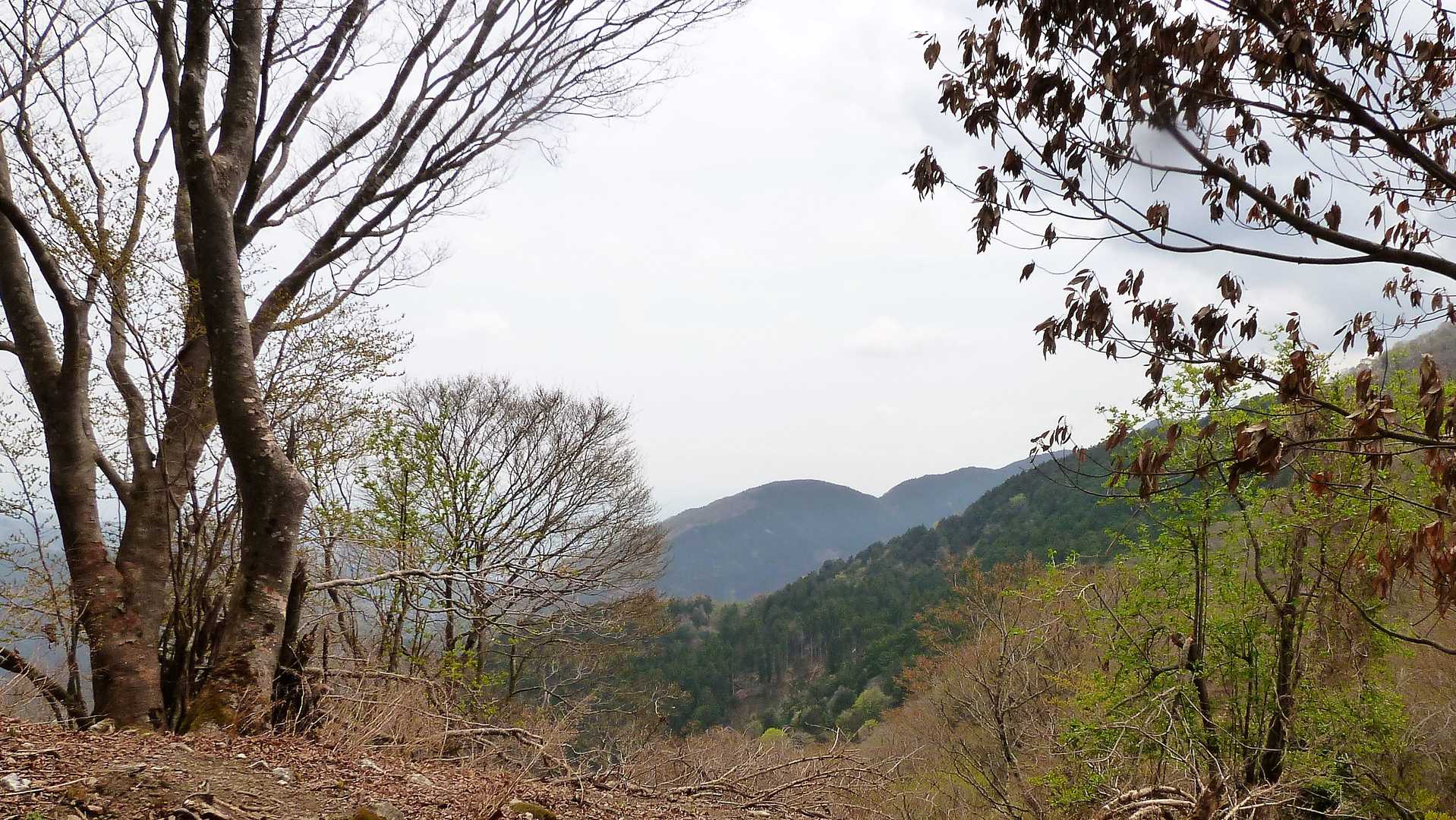 ✨ 飯盛山へ引き返す稜線からの眺望を📸パチリ⚡