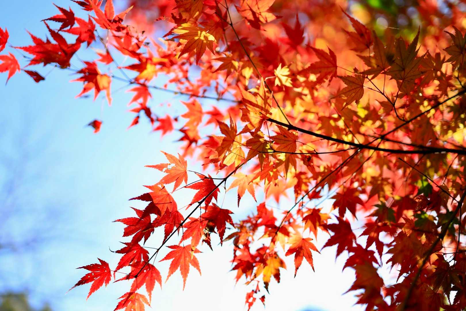 清水山 往復コースの写真