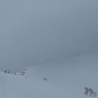 雪も降って来ました。