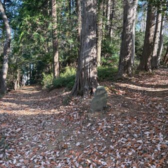 栗原山への分岐点